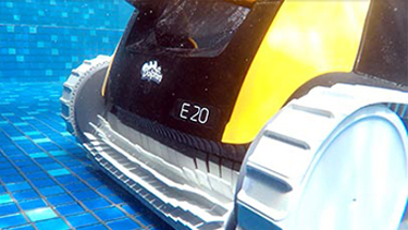 Dolphion e20 cepillo activo  Dolphion e20 cepillo activo