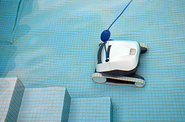 DOLPHIN EN FUNCIONAMIENTO  DOLPHIN EN FUNCIONAMIENTO