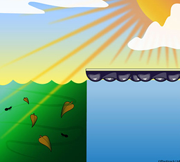 Deseshos new energy  Deseshos new energy