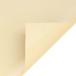 Color basic arena premium Color basic arena premium