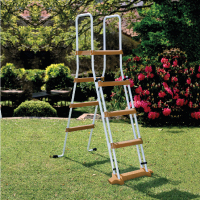 Escalera lili Escalera lili