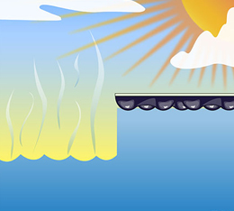 Evaporacion new energy  Evaporacion new energy